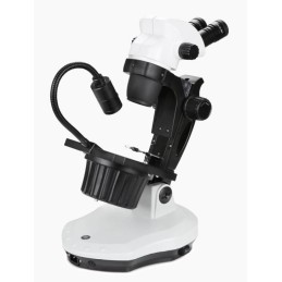 Microscopio NexiusZoom binocular Microscopios industriales ELECTROGREX uso clínico,médico,hospitalario,dental y laboratorio.