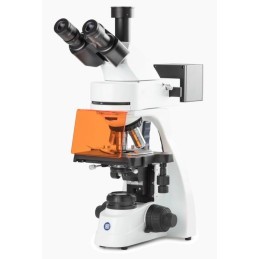 Microscopio bScope fluorescencia Microscopios de laboratorio ELECTROGREX uso clínico,médico,hospitalario,dental y laboratorio.