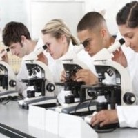 Microscopios educación